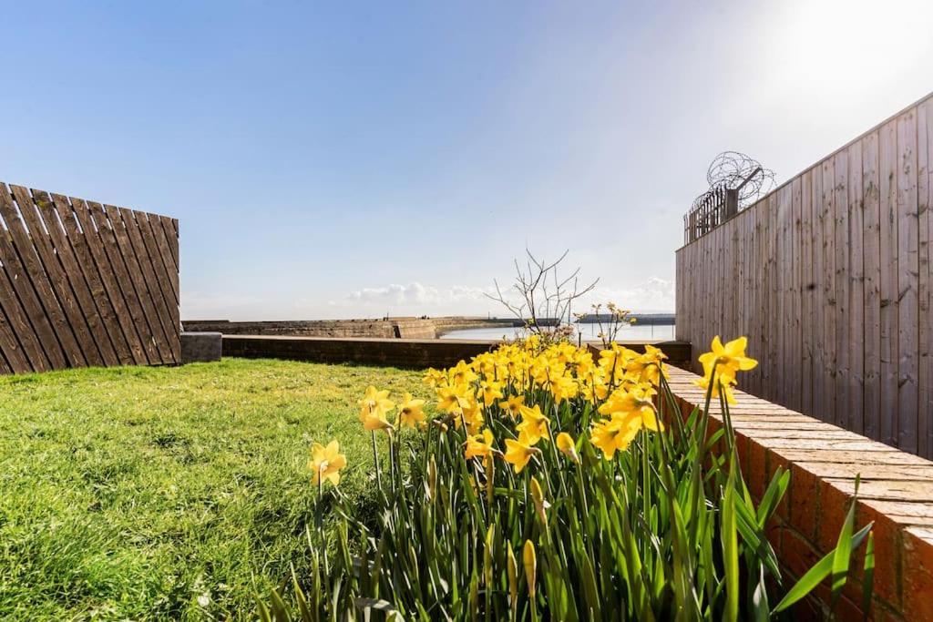 Stunning Ground Floor Hartlepool Marina Apartment Esterno foto